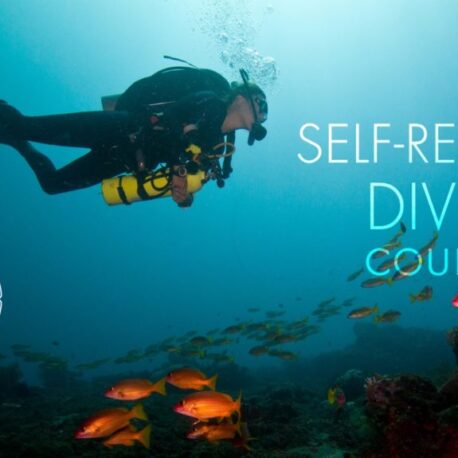 PADI - Self-Reliant Diver