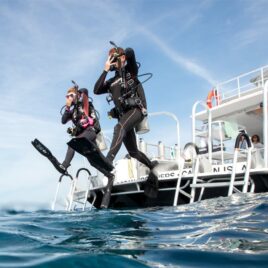 Boat Diver Class