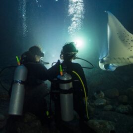 Night Diver Class