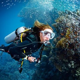 Underwater Digital Photographer Class